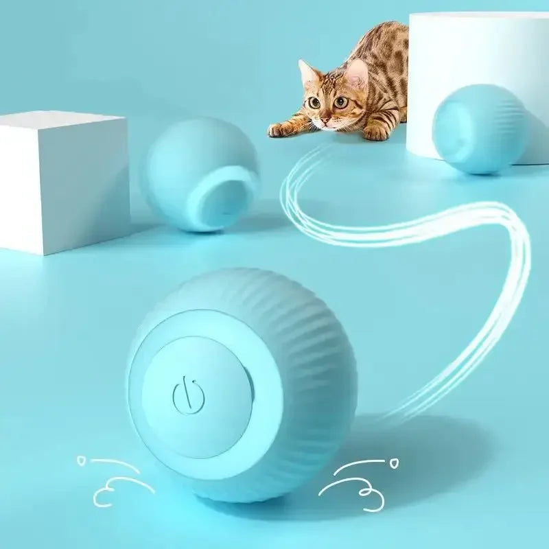 Bolinha Automática para Gatos