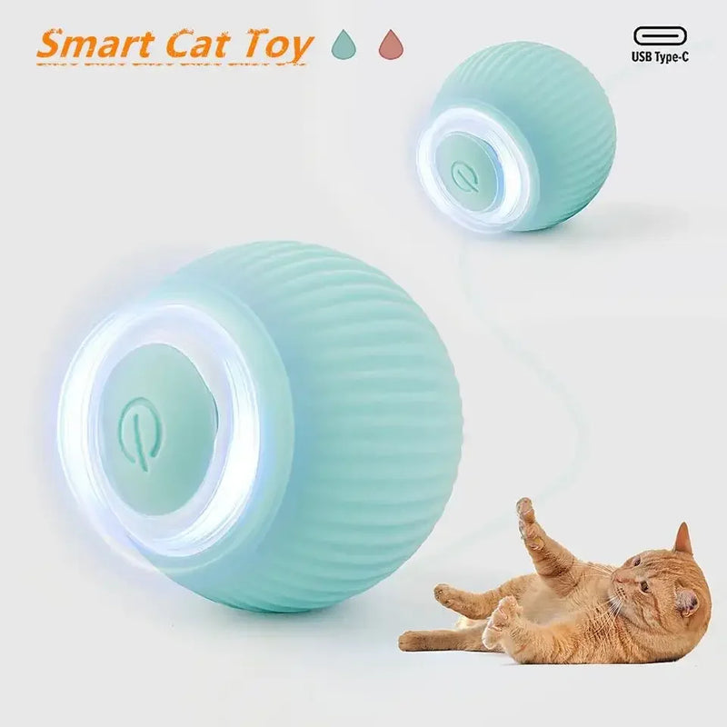 Bolinha Automática para Gatos